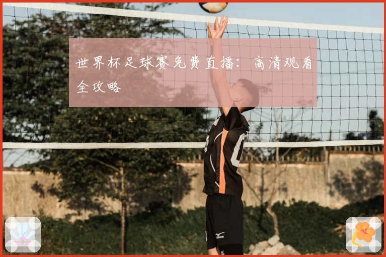 世界杯足球赛免费直播:高清观看全攻略